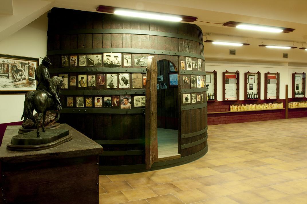 Hotel Palacios Alfaro Beltér fotó